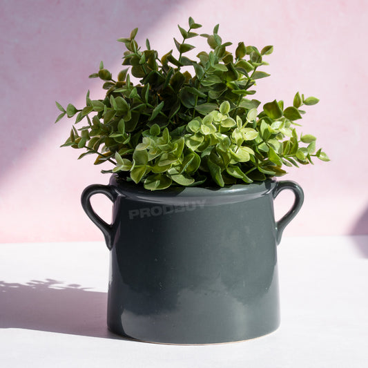 Small Plant Pot Jug with Dark Grey Colour & Side Handles