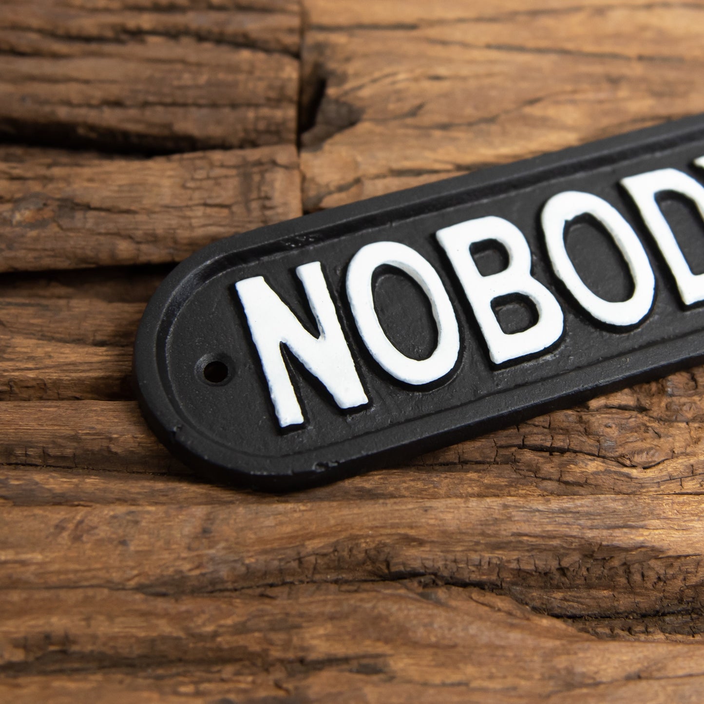 Nobody Gets Out Sober Cast Iron Wall Sign