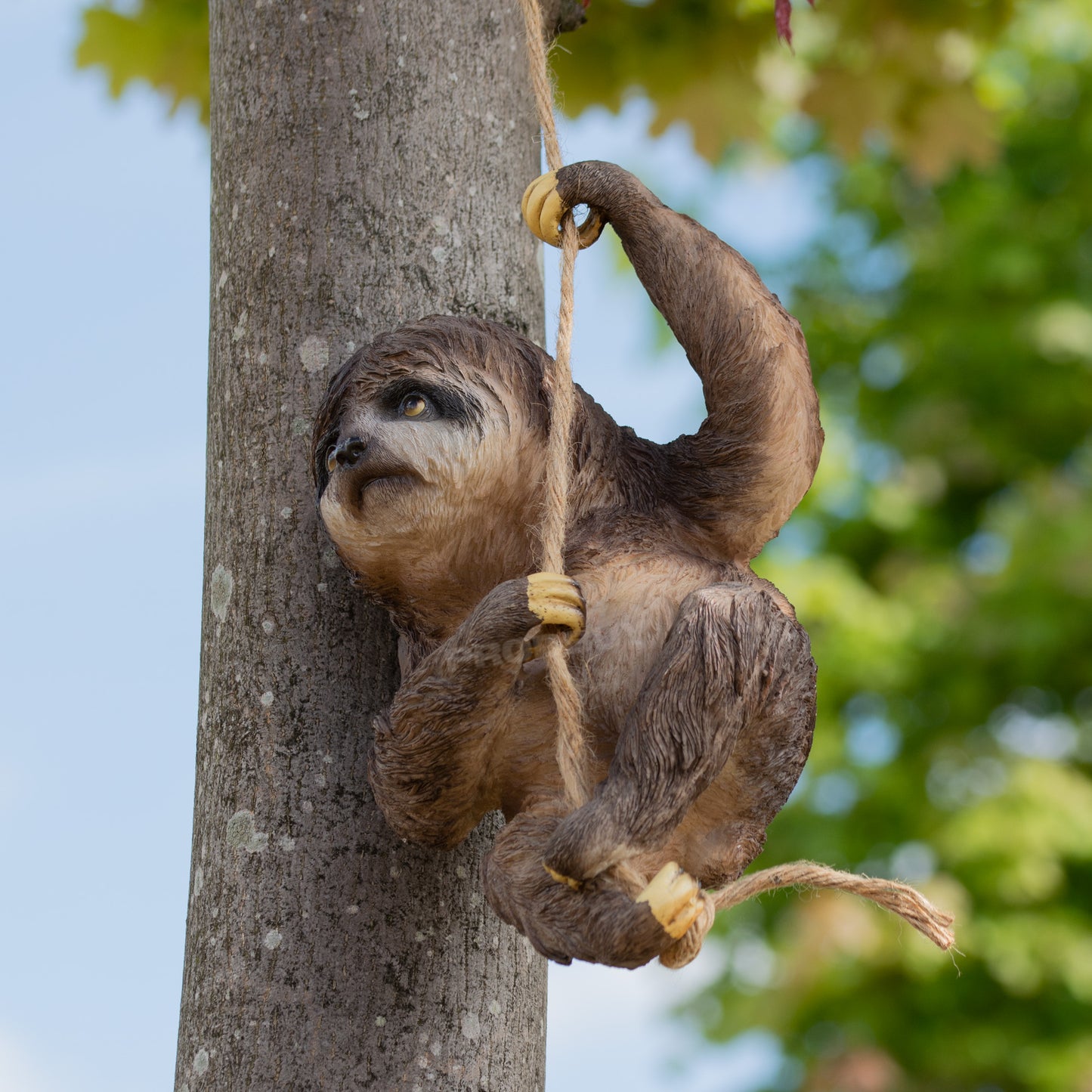 Climbing Sloth Garden Ornament On Rope Tree Branch Hanging