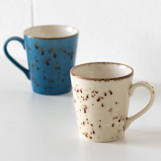Set of 2 Earthy Coffee Mugs 250ml Cream & Blue