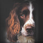 Springer Spaniel Padded Faux Leather Lap Tray