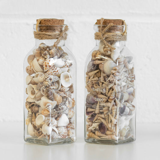 Set of 2 Glass Seashell Filled Jars