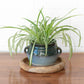 Wooden 25cm Decorative Plant Pot Bowl