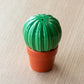 Novelty Cactus Salt & Pepper Pot Shakers Set