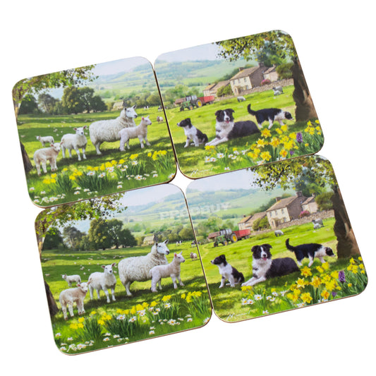 Pack of 4 Sheep & Border Collie English Farm Coasters