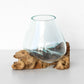 Molten 13cm Glass Bowl on Natural Rustic Teak Root Wood Stand