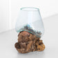 Molten 10cm Glass Bowl on Natural Rustic Teak Root Wood Stand