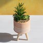 Artificial Succulent Ceramic Fake House Plant Pot with Legs