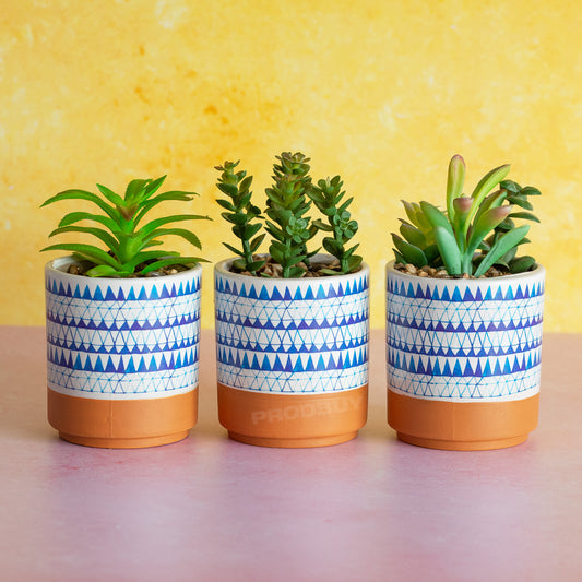 Set of 3 Blue & White Artificial Succulent Plant Pots