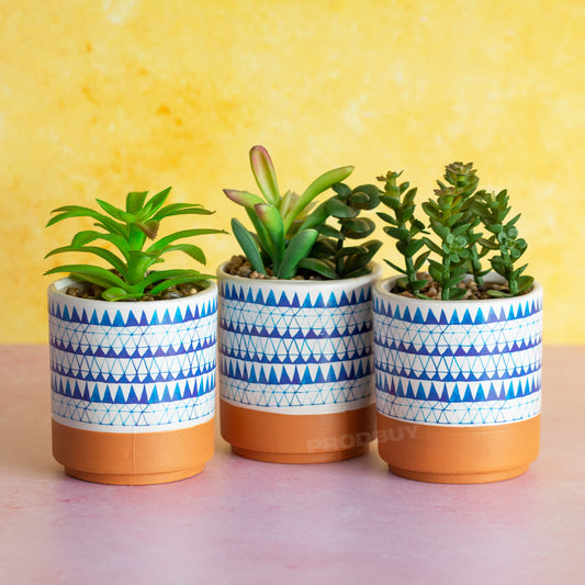 Set of 3 Blue & White Artificial Succulent Plant Pots