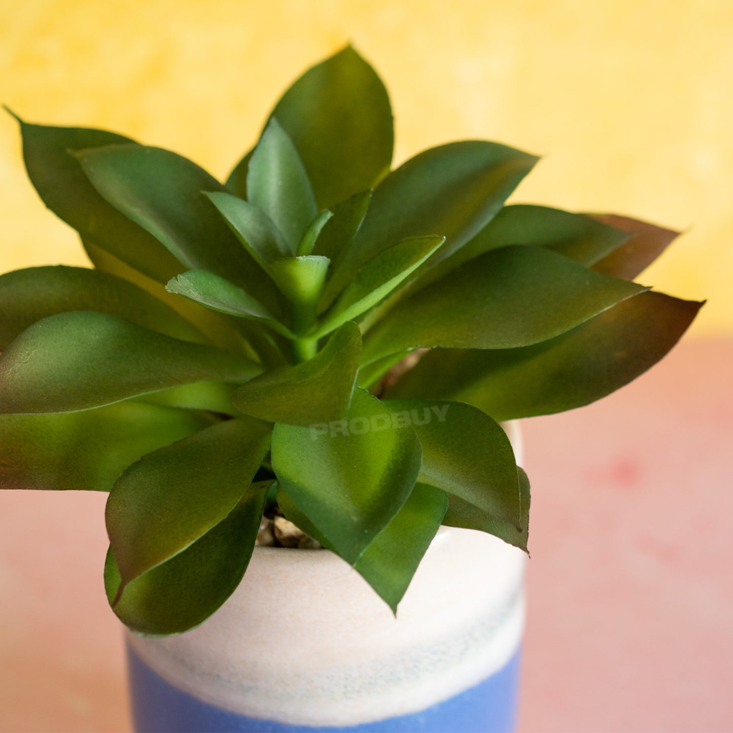 Set of 3 Mediterranean Artificial Succulent Plant Pots