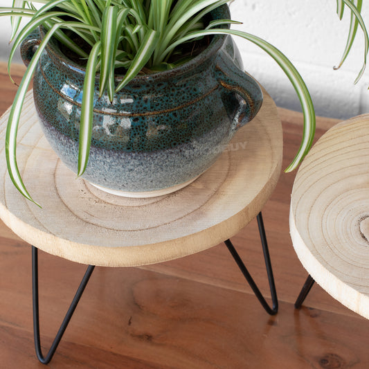 Set of 2 Wooden Plant Pot Stands with Metal Legs