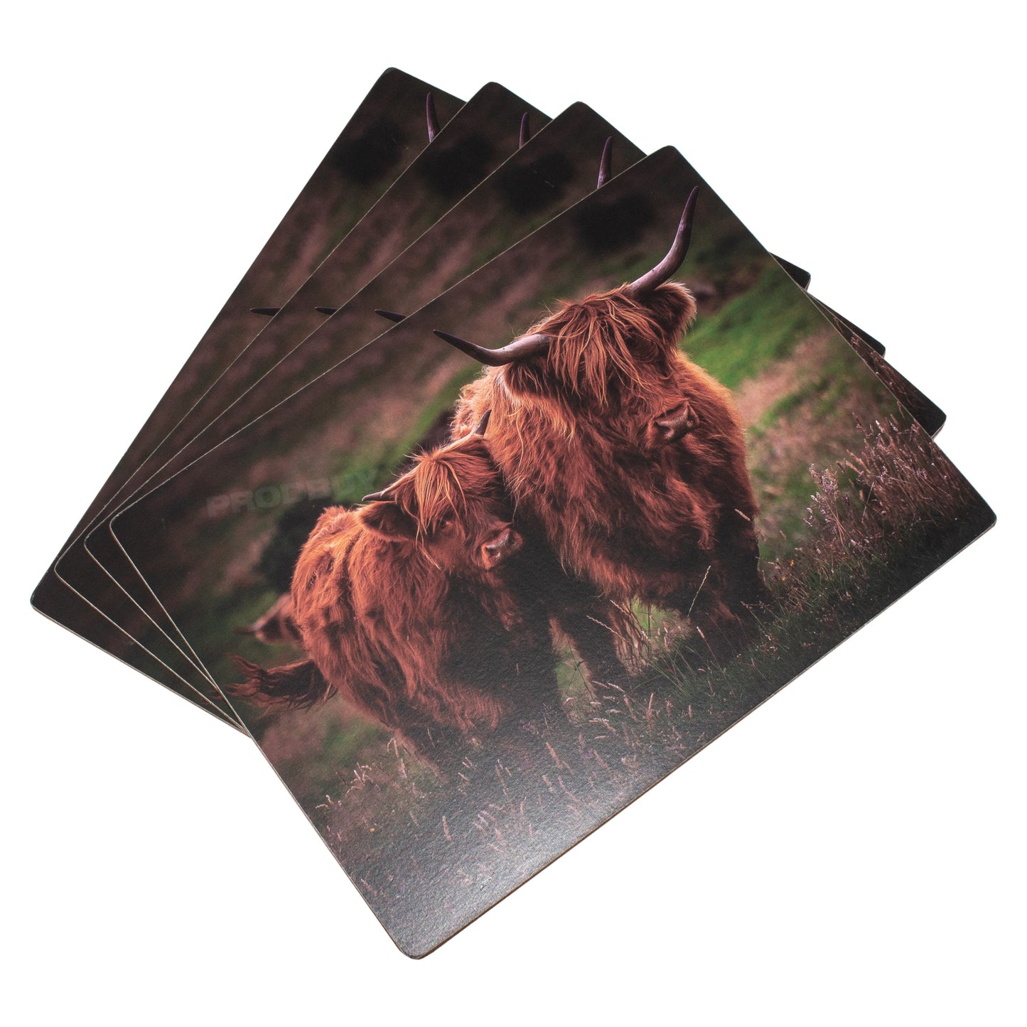 Set of 4 Placemats & 4 Coasters with Highland Cows
