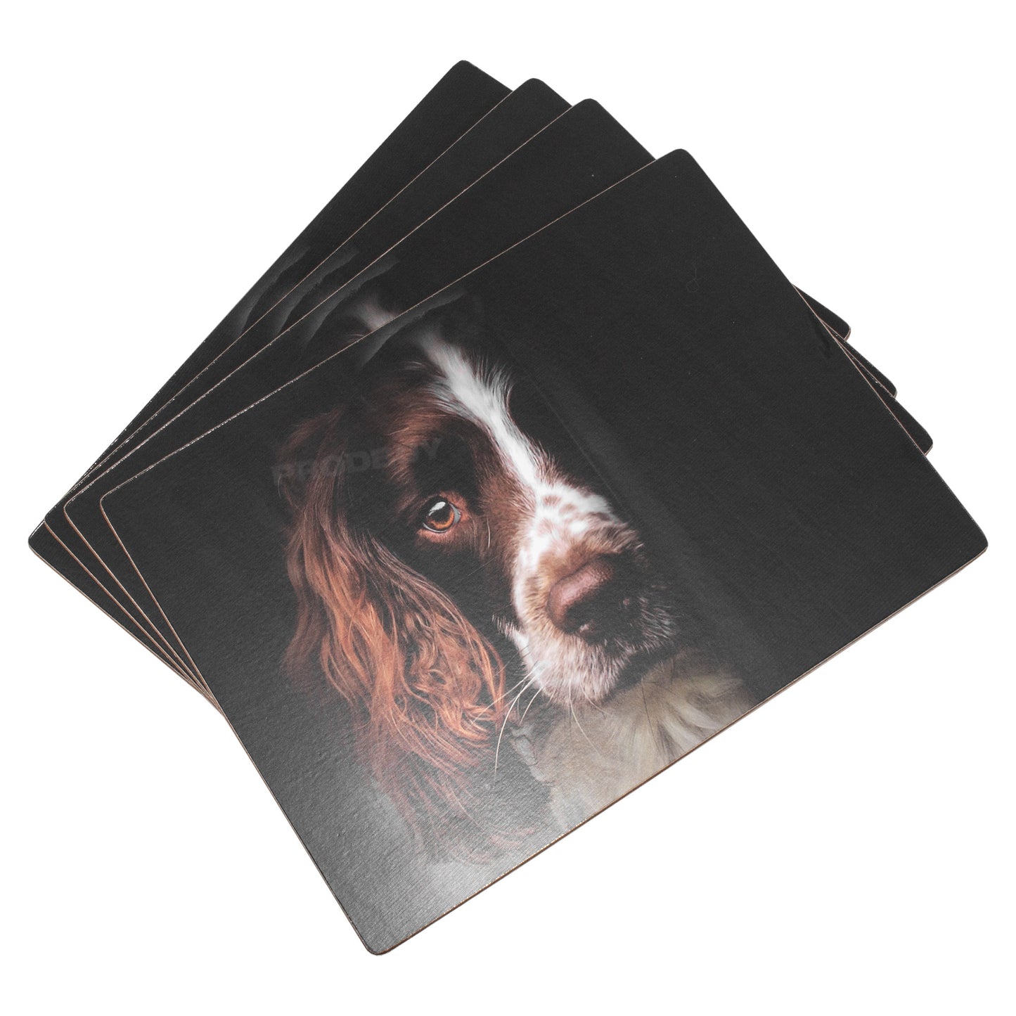 Pack of 4 Placemats with Springer Spaniel