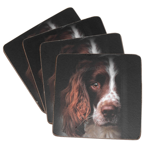 Pack of 4 Coasters with Springer Spaniel
