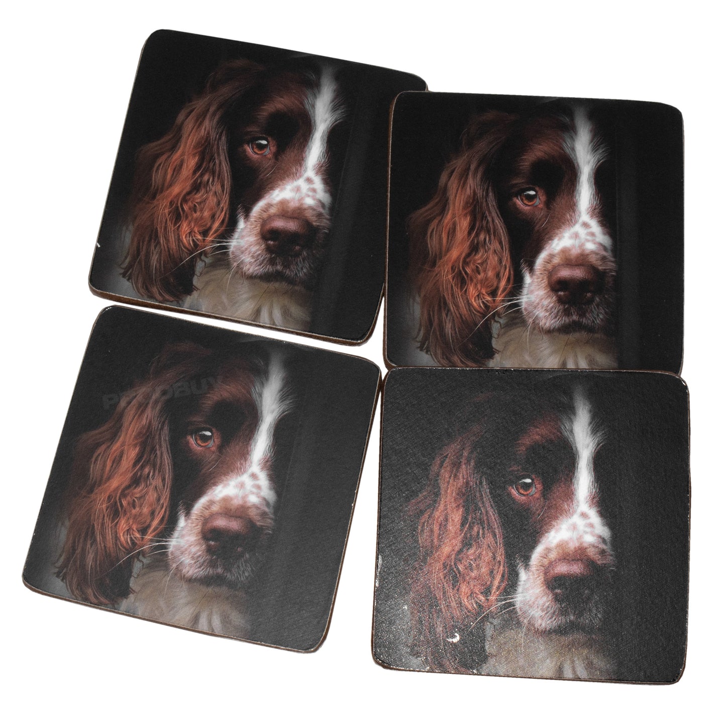Set of 4 Placemats & 4 Coasters with Springer Spaniel