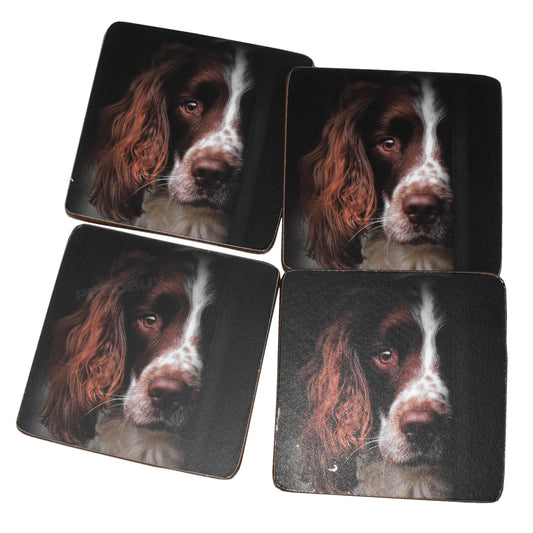 Pack of 4 Coasters with Springer Spaniel