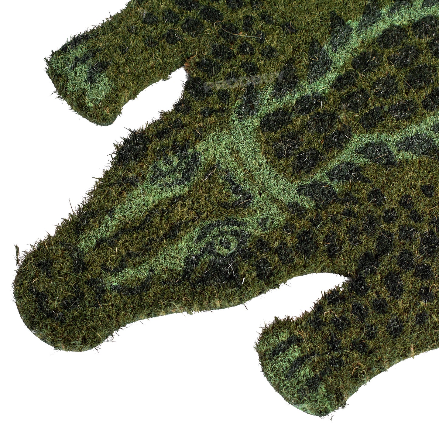 Green Crocodile 78cm x 38cm Coir Door Mat