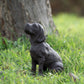 Small Cast Iron Dog Door Stop 15cm Statue