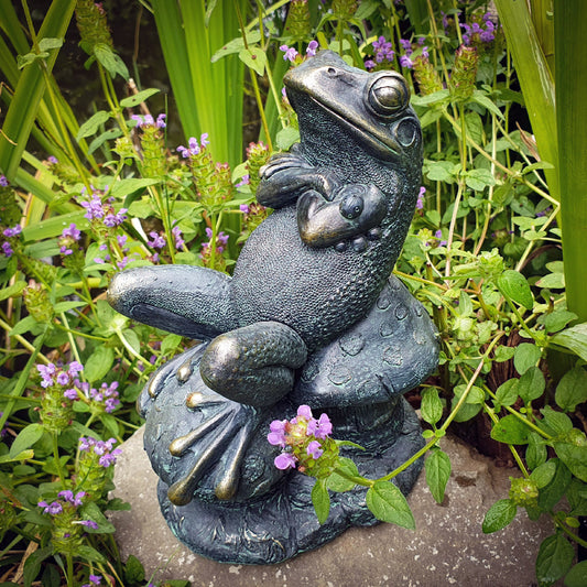 Toad on Toadstools Sculpture Mushroom Resting Frog Ornament