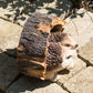 Hedgehogs In Log Resin Garden Ornament