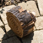 Hedgehogs In Log Resin Garden Ornament