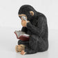 Pair of Novelty Reading Monkey Bookends