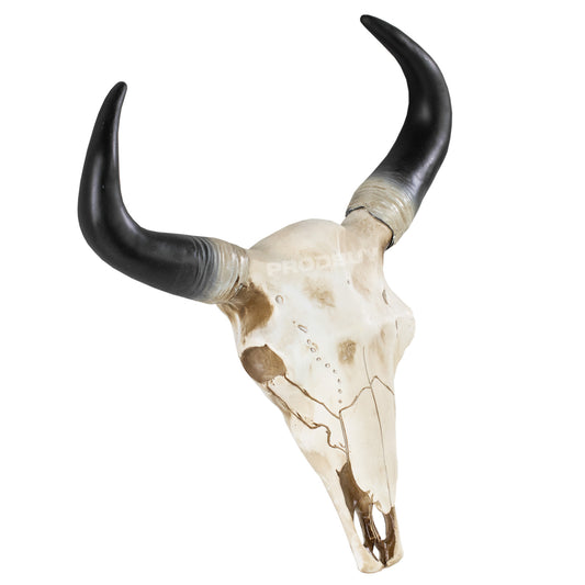 Wall Mounted Cow Skull with Horns Decoration