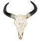 Wall Mounted Cow Skull with Horns Decoration
