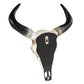 Wall Mounted Cow Skull with Horns Decoration