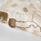 Wall Mounted Cow Skull with Horns Decoration