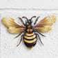 Pack of 3 Metal Bee Wall Art Decorations