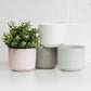 Set of 4 Small Pastel Ceramic House Plant Pots