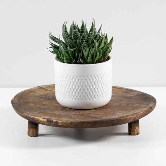 Round 30.5cm Mango Wood House Plant Pot Stand