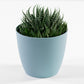 Small Ella Round Plastic Indoor House Plant Pot Cover