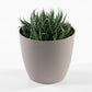 Small Ella Round Plastic Indoor House Plant Pot Cover