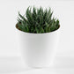 Small Ella Round Plastic Indoor House Plant Pot Cover