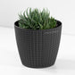 Embossed Chevron Round Indoor Flower House Plant Pot Cover