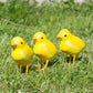 Set 3 Small Yellow Baby Chicken Metal Garden Ornaments