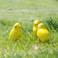 Set 3 Small Yellow Baby Chicken Metal Garden Ornaments