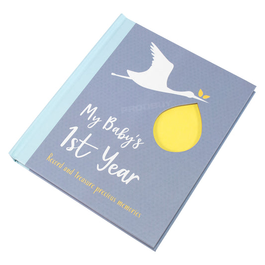'My First Year' Baby Photo Album Book