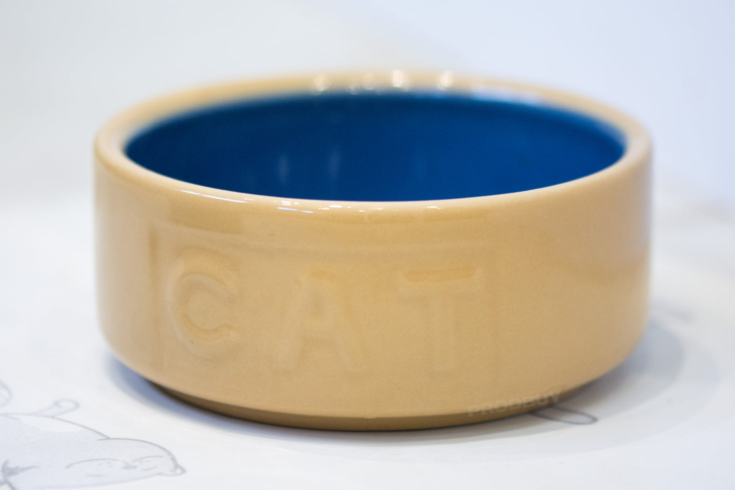 Set of 2 Non-Tip Heavy Ceramic Cat Food Biscuit Bowls
