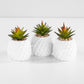 12cm Artificial Succulent Indoor House Plant White Pineapple