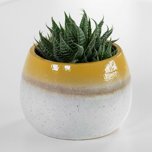 Yellow & White Glazed Ceramic Indoor Small 12cm Round Plant Pot