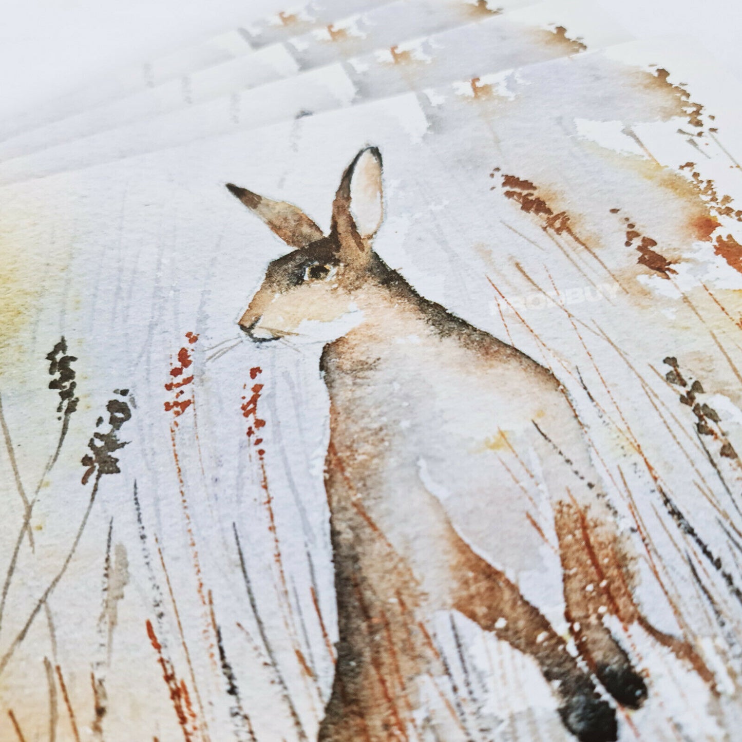 Set of 4 Placemats & 4 Coasters Woodland Hare