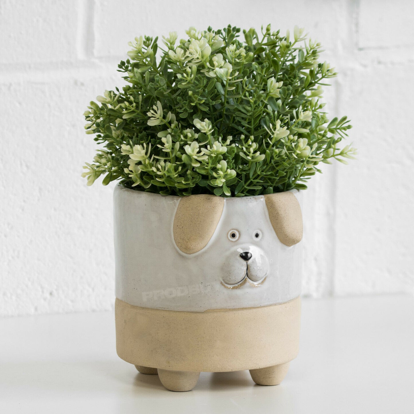 Small Dog Face Ceramic Plant Pot