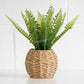 Artificial Green Fern In Wicker Pot 30cm