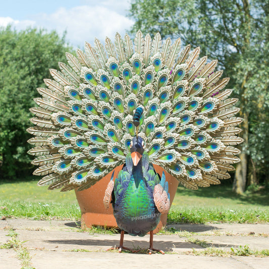 Large 65cm Exotic Peacock Metal Garden Ornament