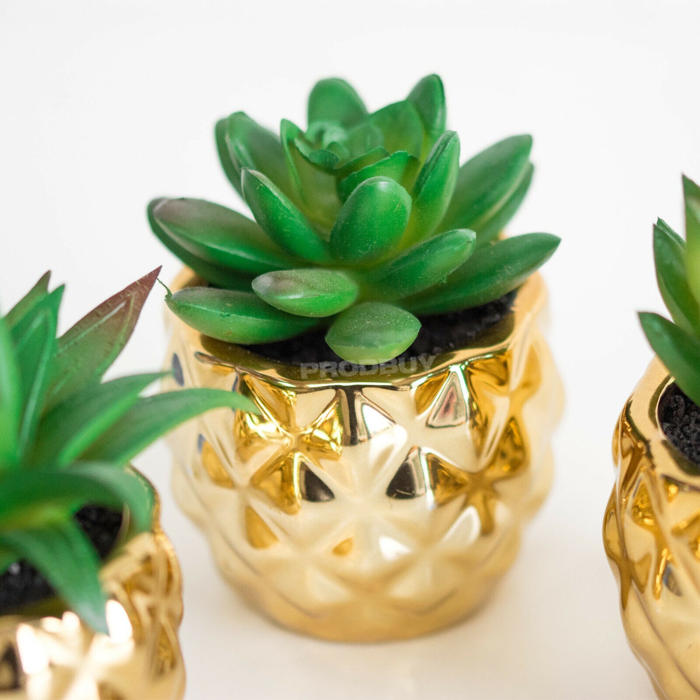 Set of 4 Artificial Succulents In Gold Pots