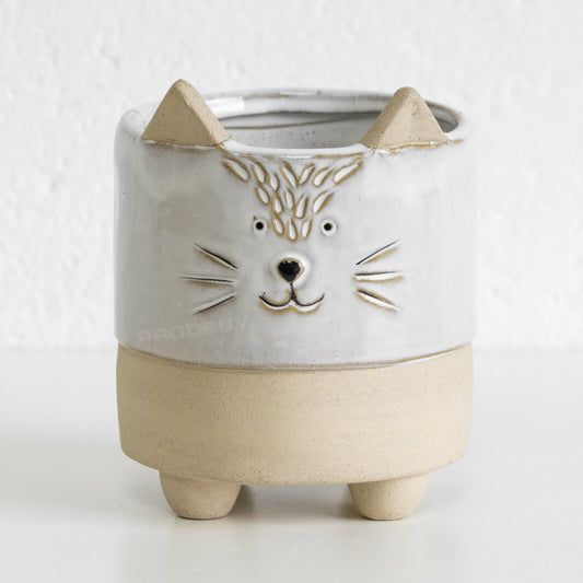 Cute Cat Face Ceramic Plant Pot Small 11cm Novelty Flower Cover